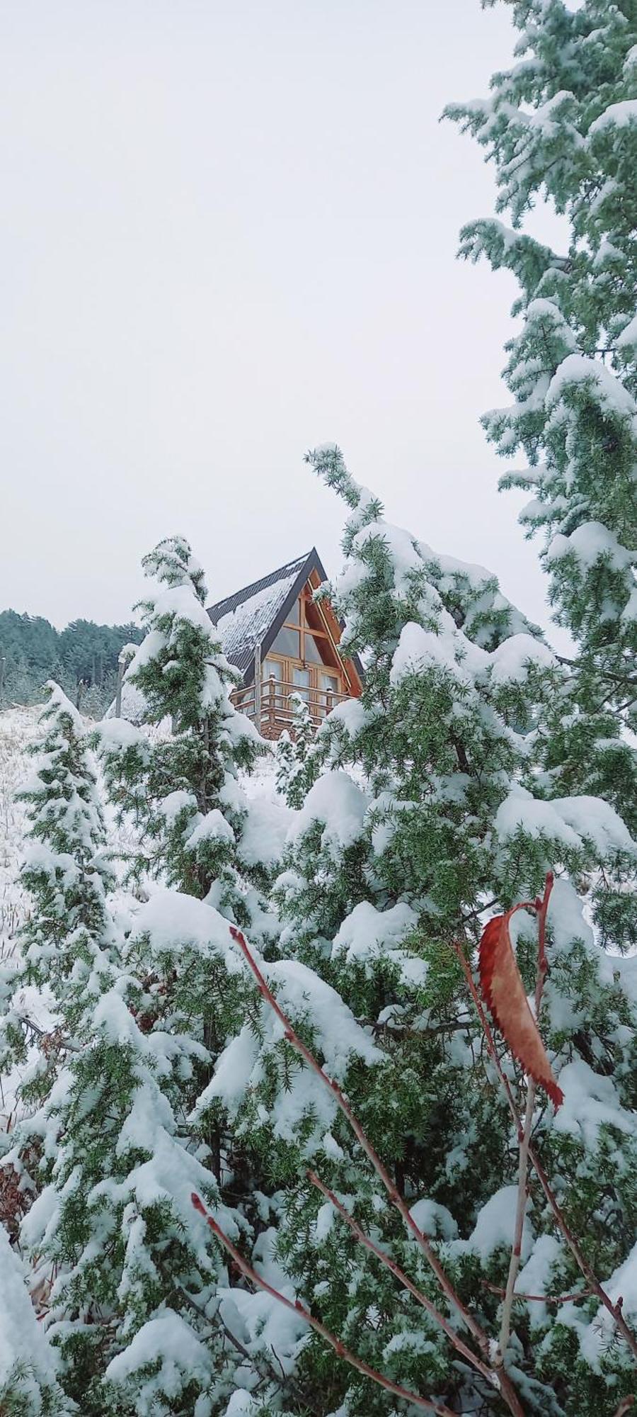 Villa Monte Zen à Žabljak Extérieur photo